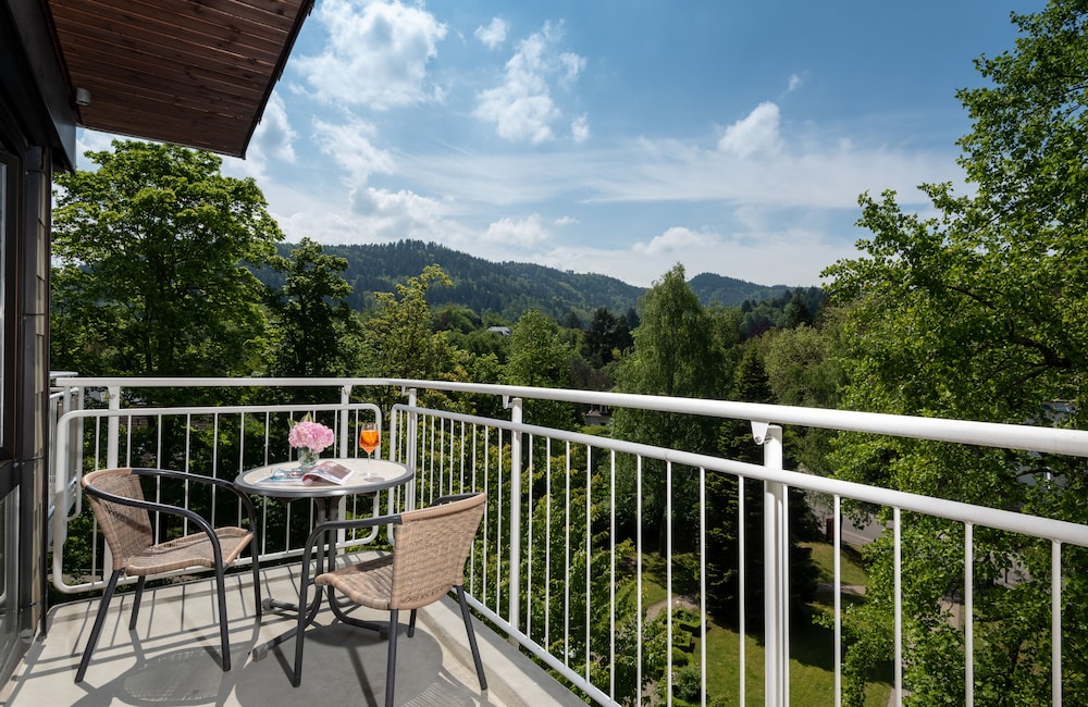 Leonardo Royal Hotel Baden Baden 31/91