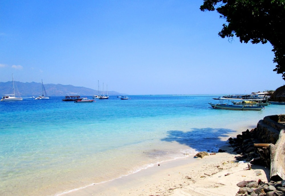 OCEANS 5 DIVE RESORT photo2