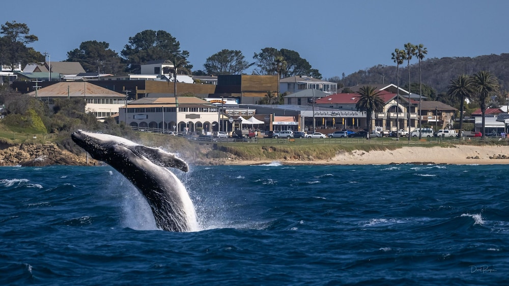 Bermagui Beach Hotel 43/50