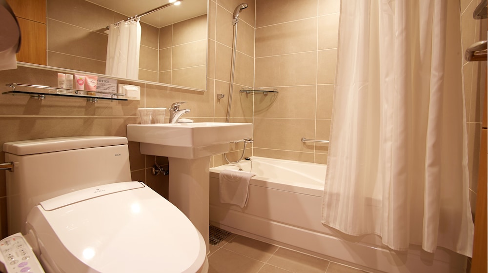 Hotel Skypark Myeongdong Ii Seoul 66/68