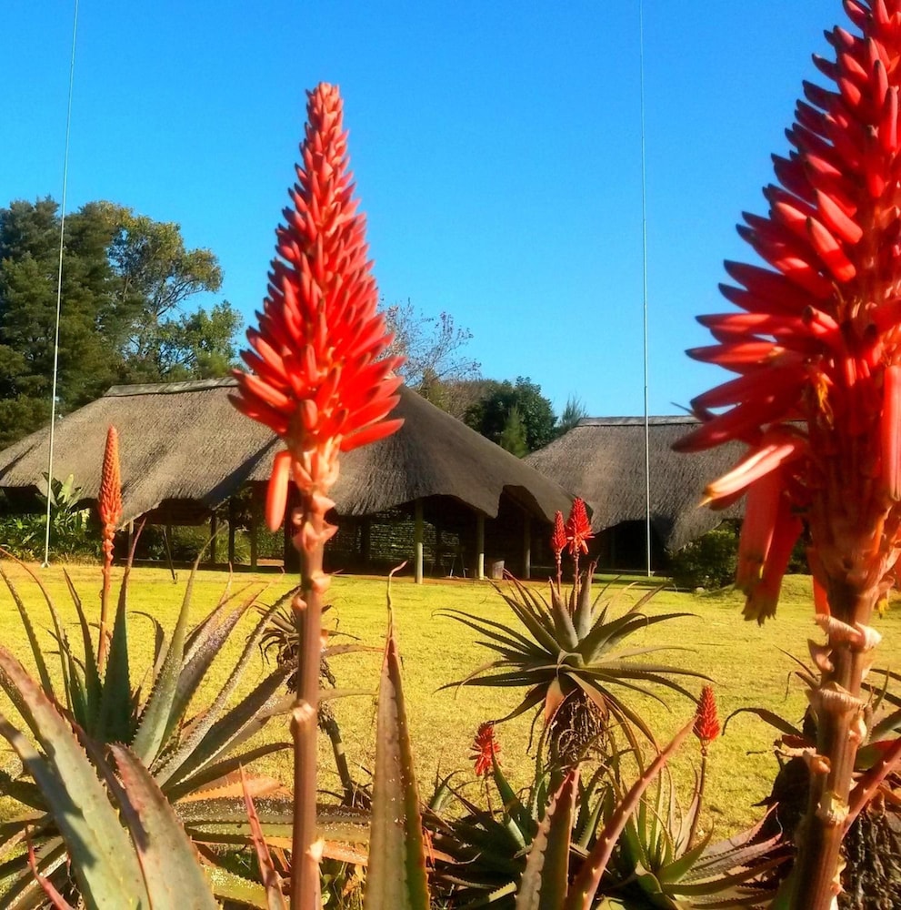 African Flair Country Lodge 23/26