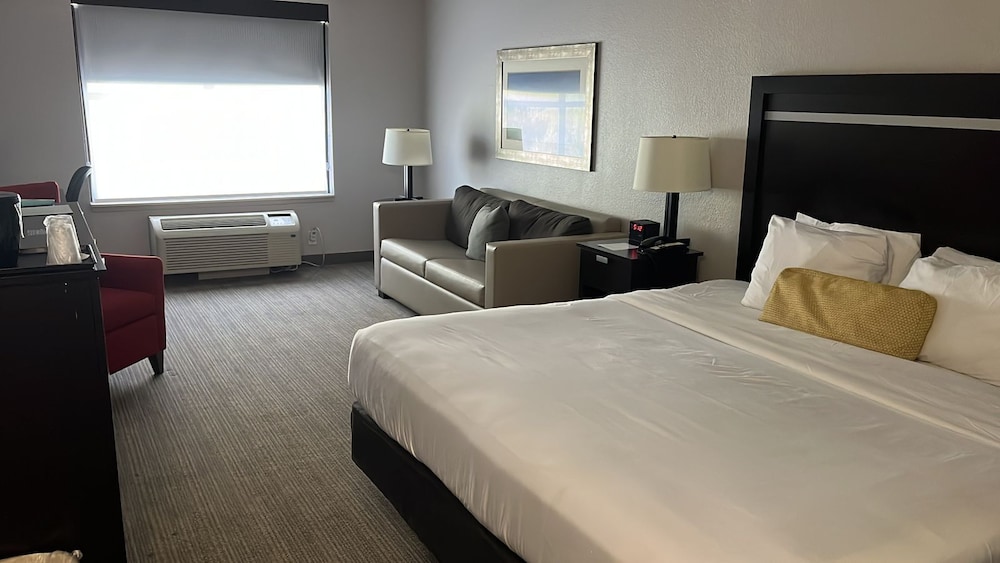 SUITE, KING BED