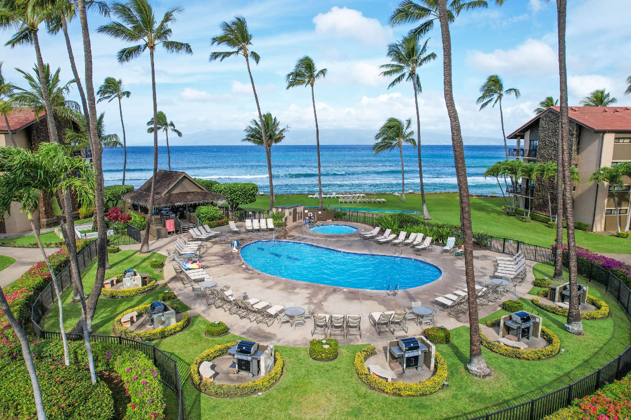2 Bedrooms, Suite, Ocean Front, 2 Bathrooms, Kitchen