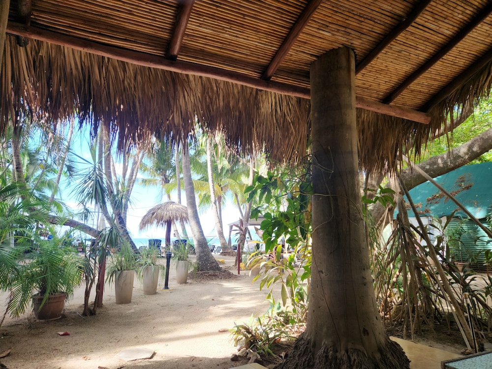 Hotel La Palapa 42/76