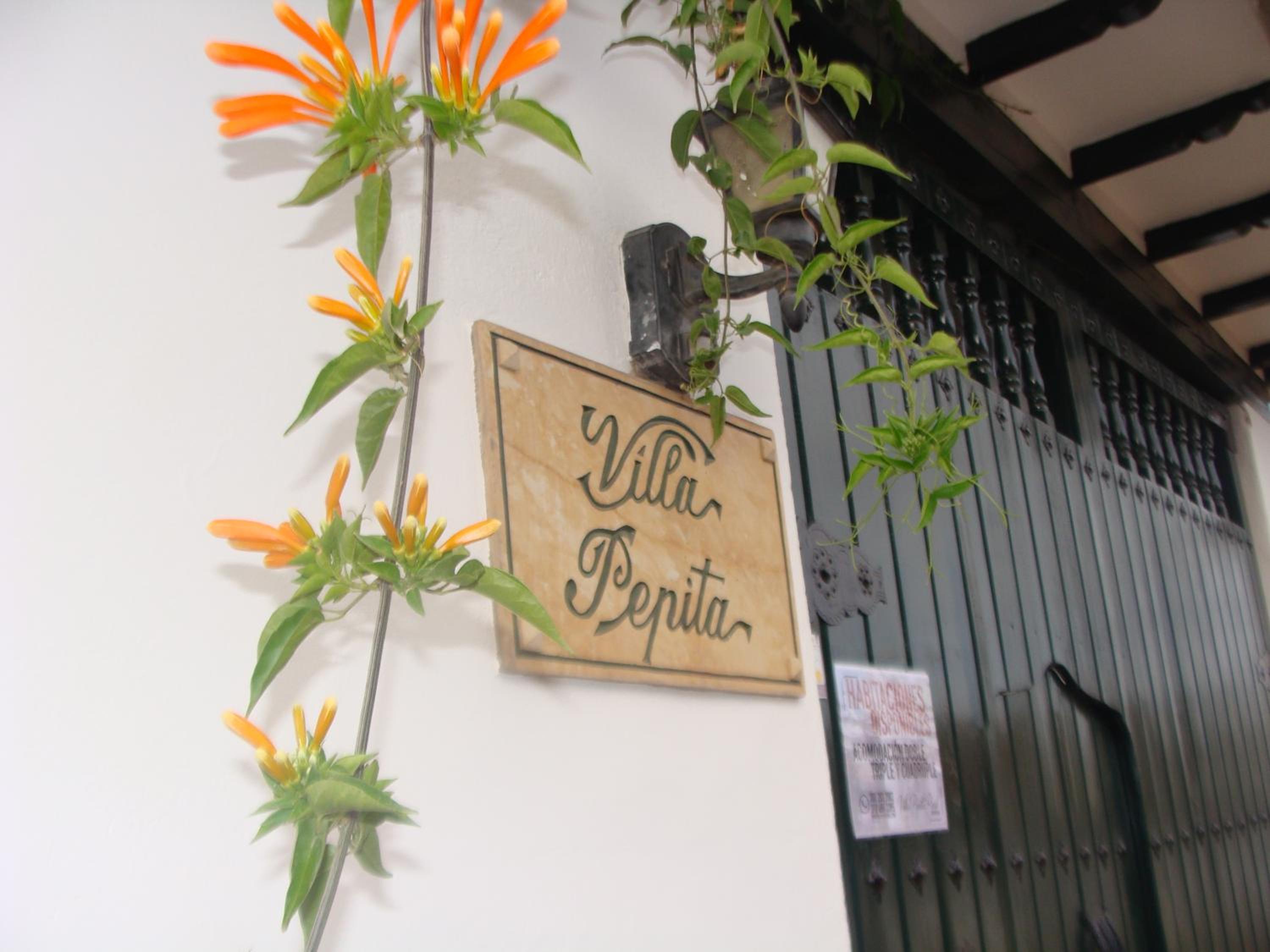 Villa Pepita Real 10/50