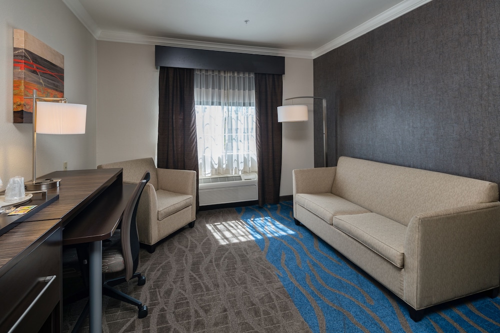 Holiday Inn Express Hotel Suites Santa Clara 47/58