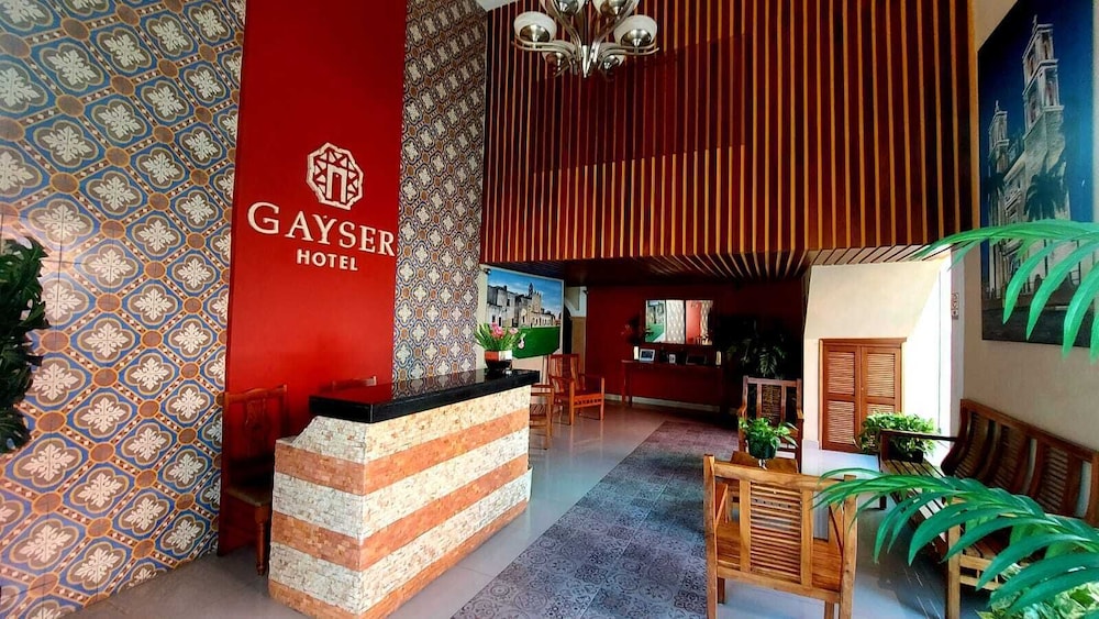 Hotel Boutique Gayser 18/53