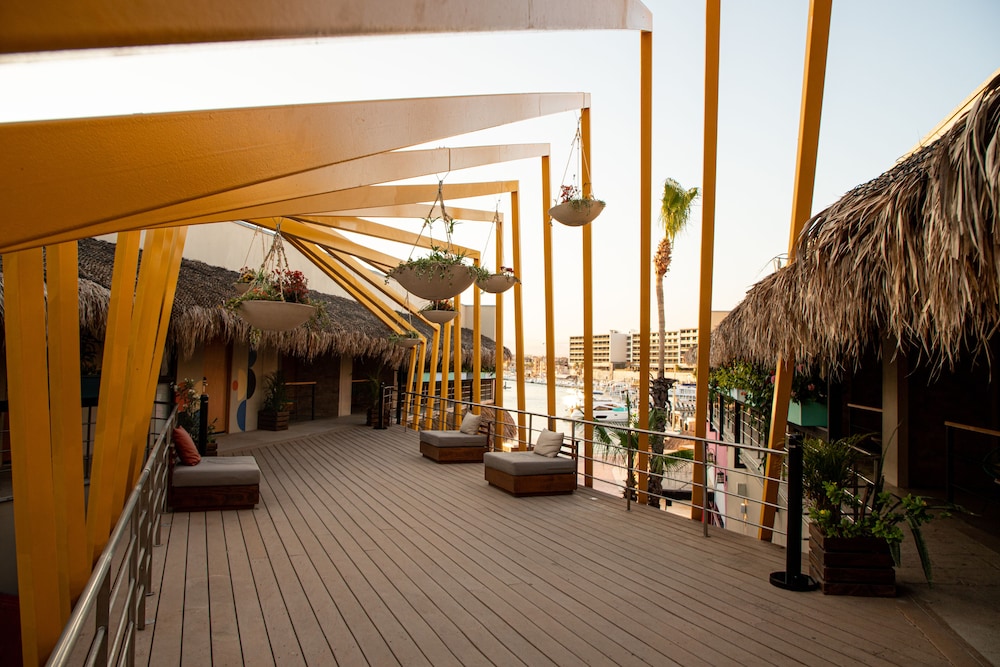 Mayan Monkey Los Cabos 39/50