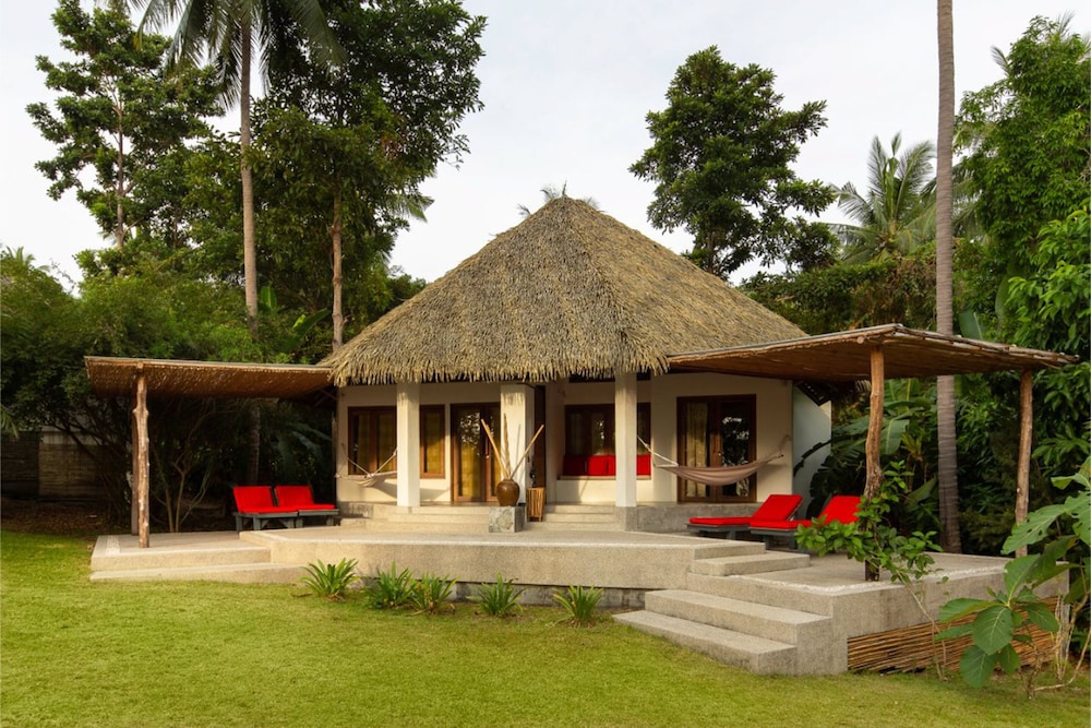 The Jungle Club 4/50