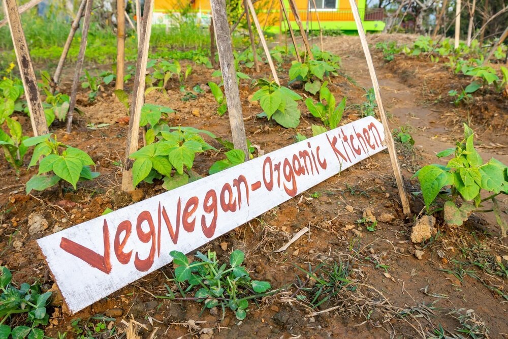 Begnas Yoga & Retreat 47/50
