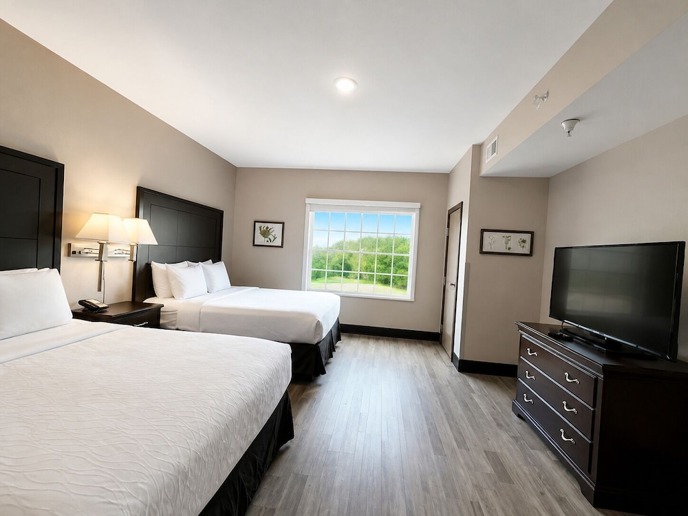 1 Bedroom, Suite, 2 Queen Beds