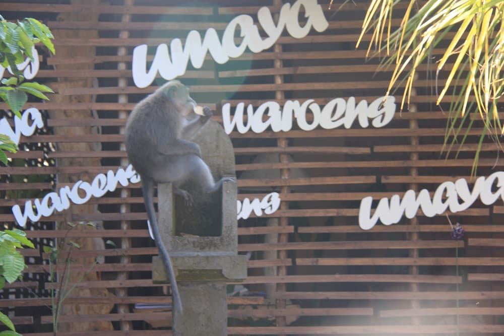 Umaya Ubud Villa 37/46