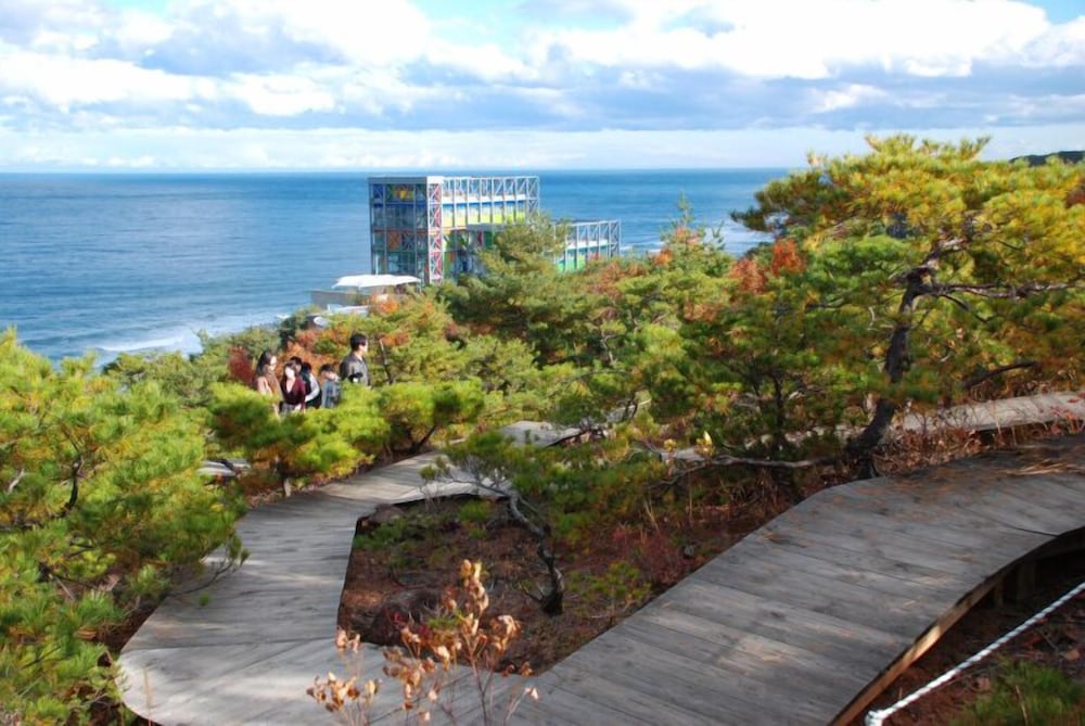 Dawoo Resortel 40/50