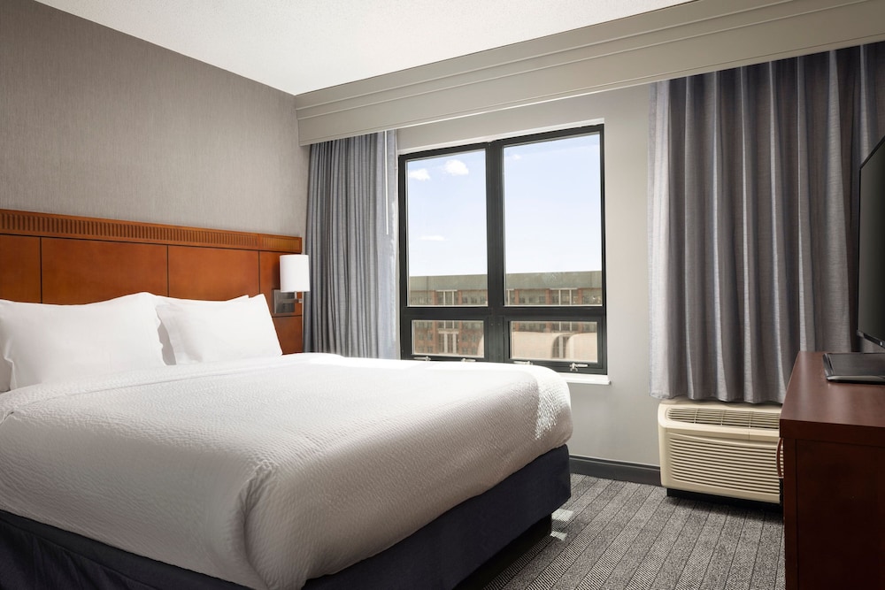 1 Bedroom, Suite