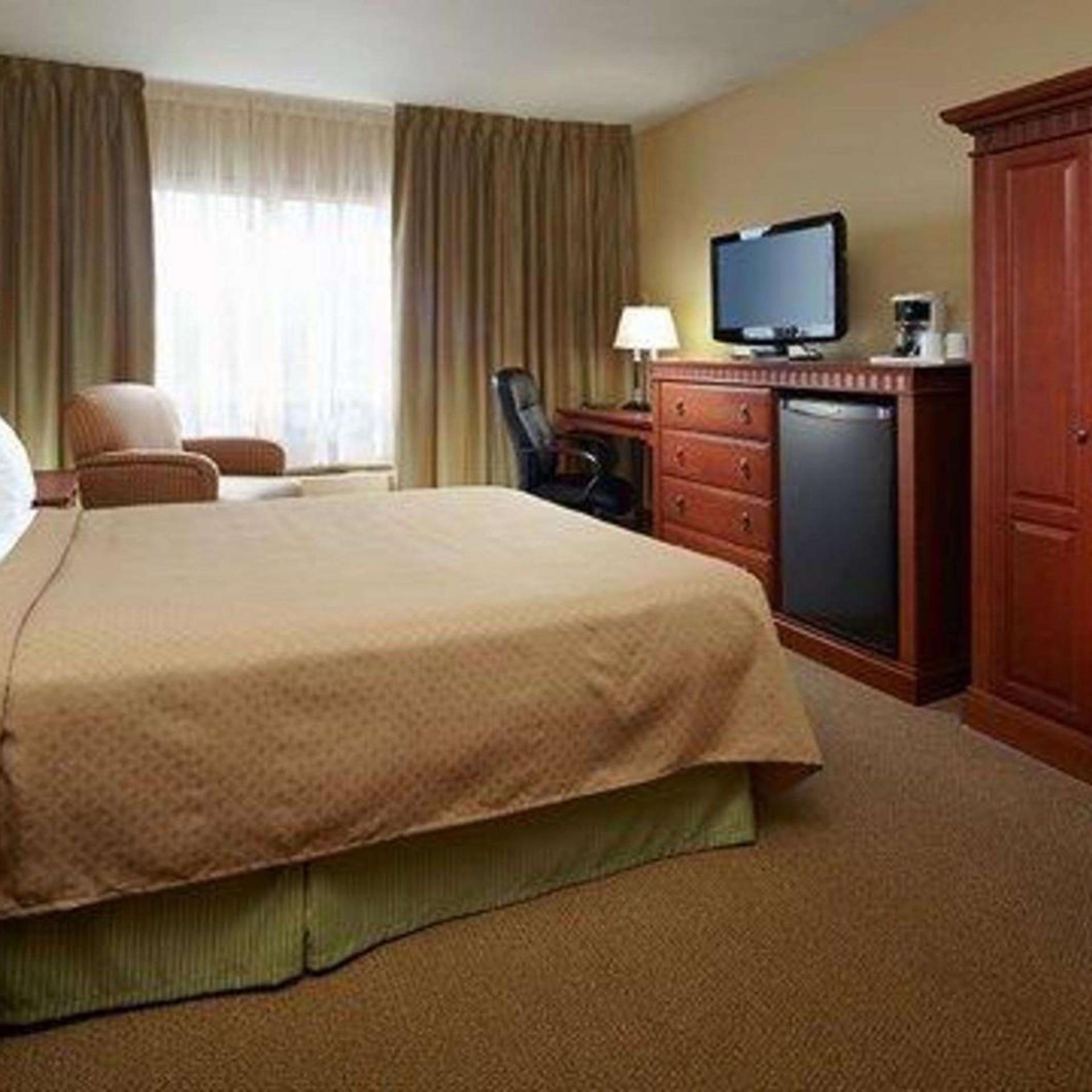 Room, Queen Bed, Sofa
