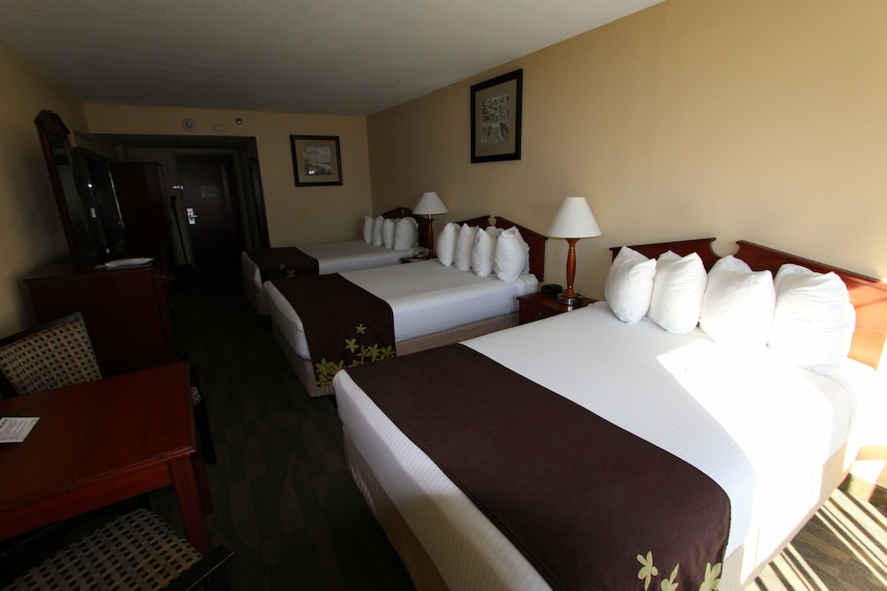 Gold Leaf Hotel of Dewey-Rehoboth Beach 19/47
