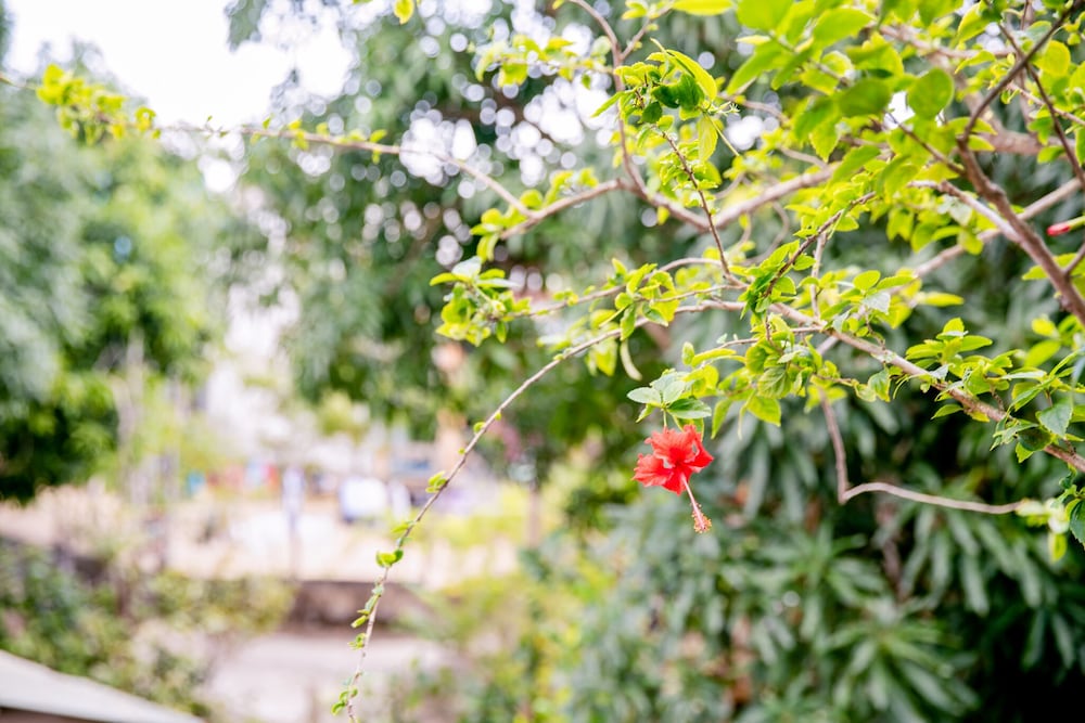 An Bang Morning Glory Beach Homestay 35/44