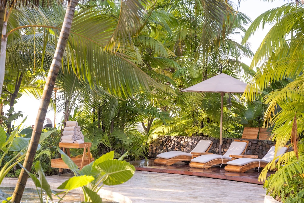 Arenas del Mar Beachfront & Rainforest Resort 32/75