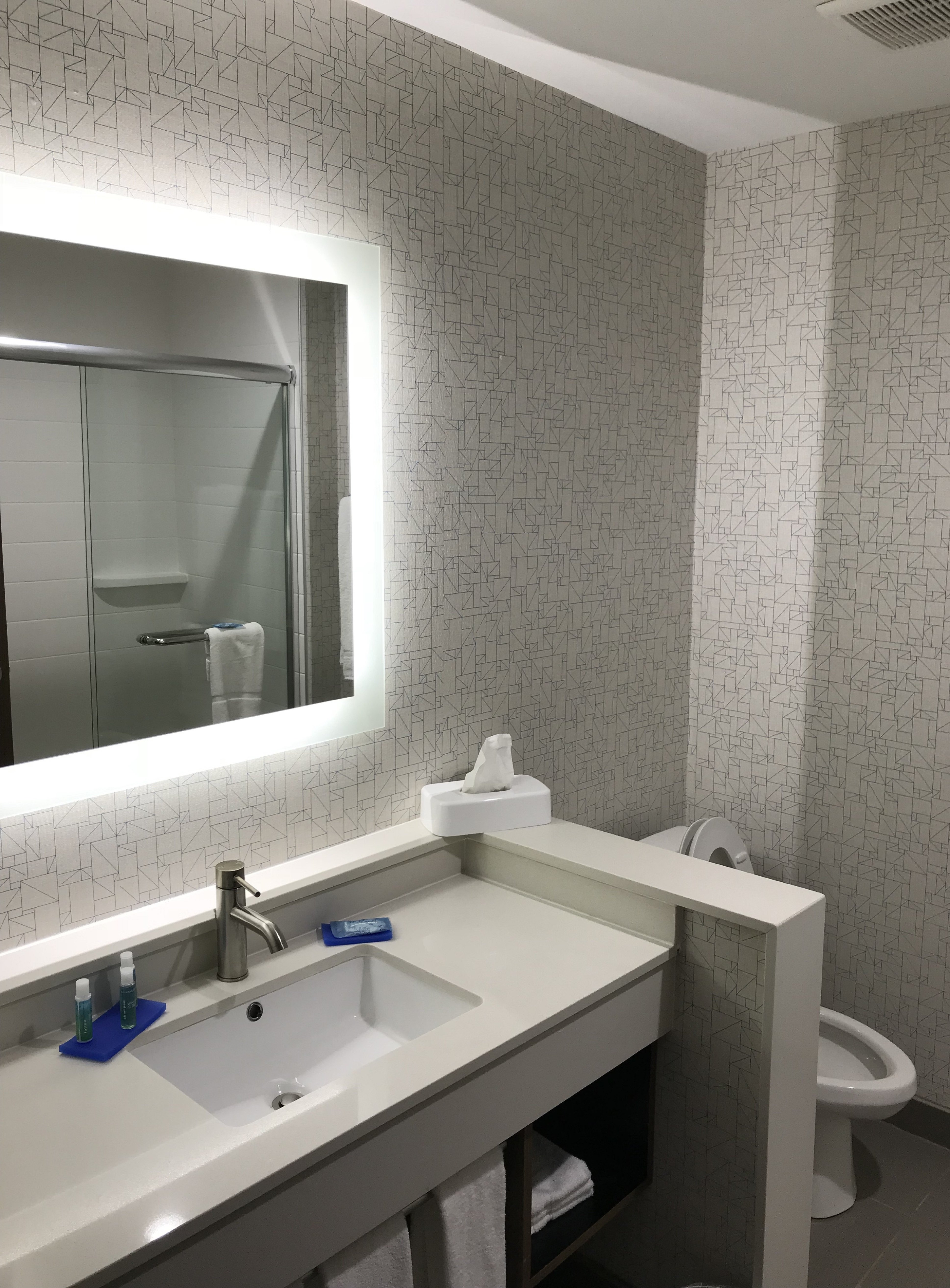 HOLIDAY INN EXPRESS PINEVILLE-ALEXANDRIA AREA 47/49