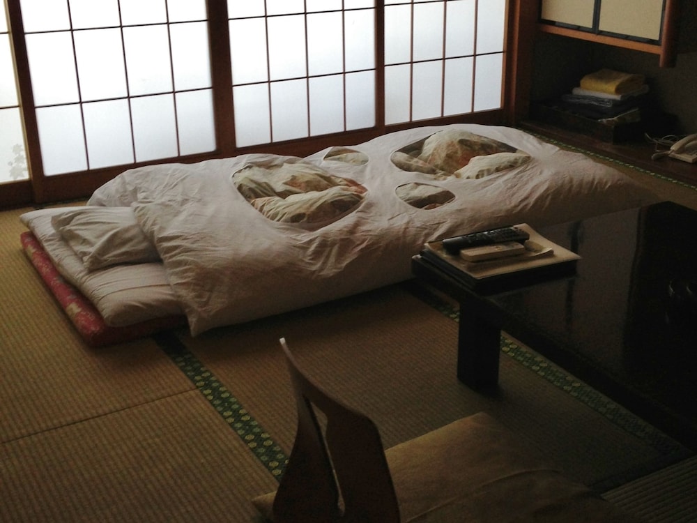 Yugawara Onsen Ryokan Greenso 19/28