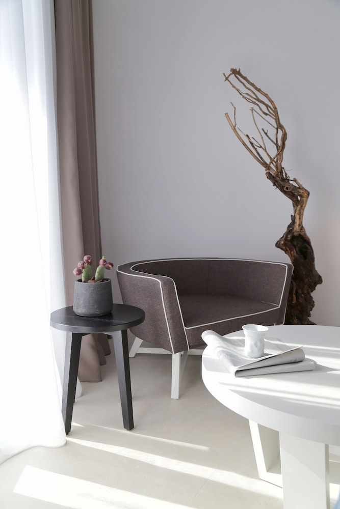 Livin Mykonos Boutique Hotel - Adults only 15/76