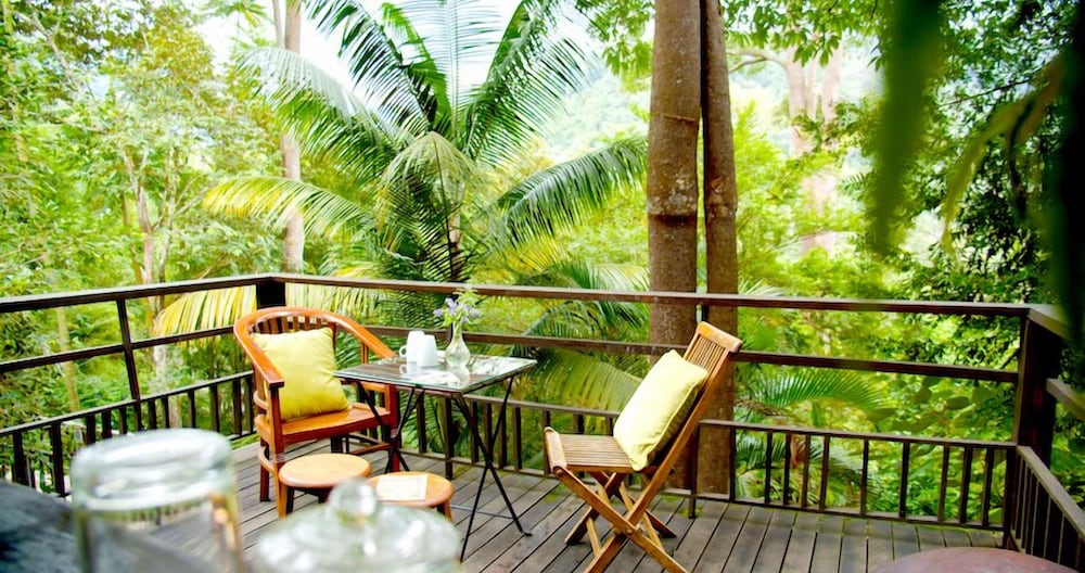 The Dusun 34/50