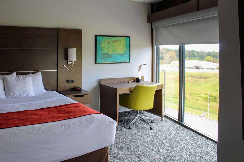 Comfort Inn & Suites Near Lake Guntersville 15/52