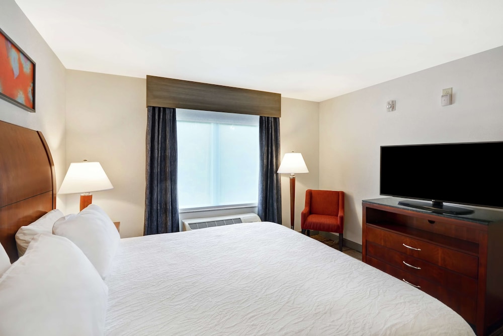 Suite, King Bed