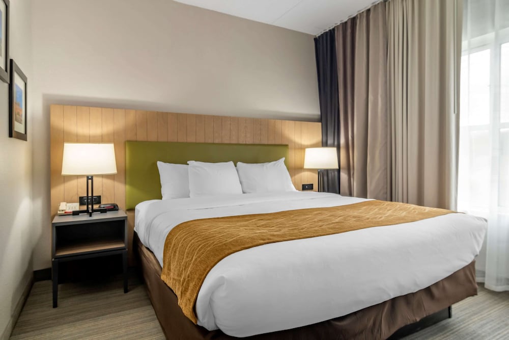 Comfort Inn and Suites Calhoun South 15/58