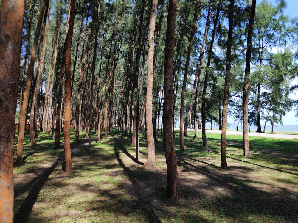 Semarak Beach Inn 35/45