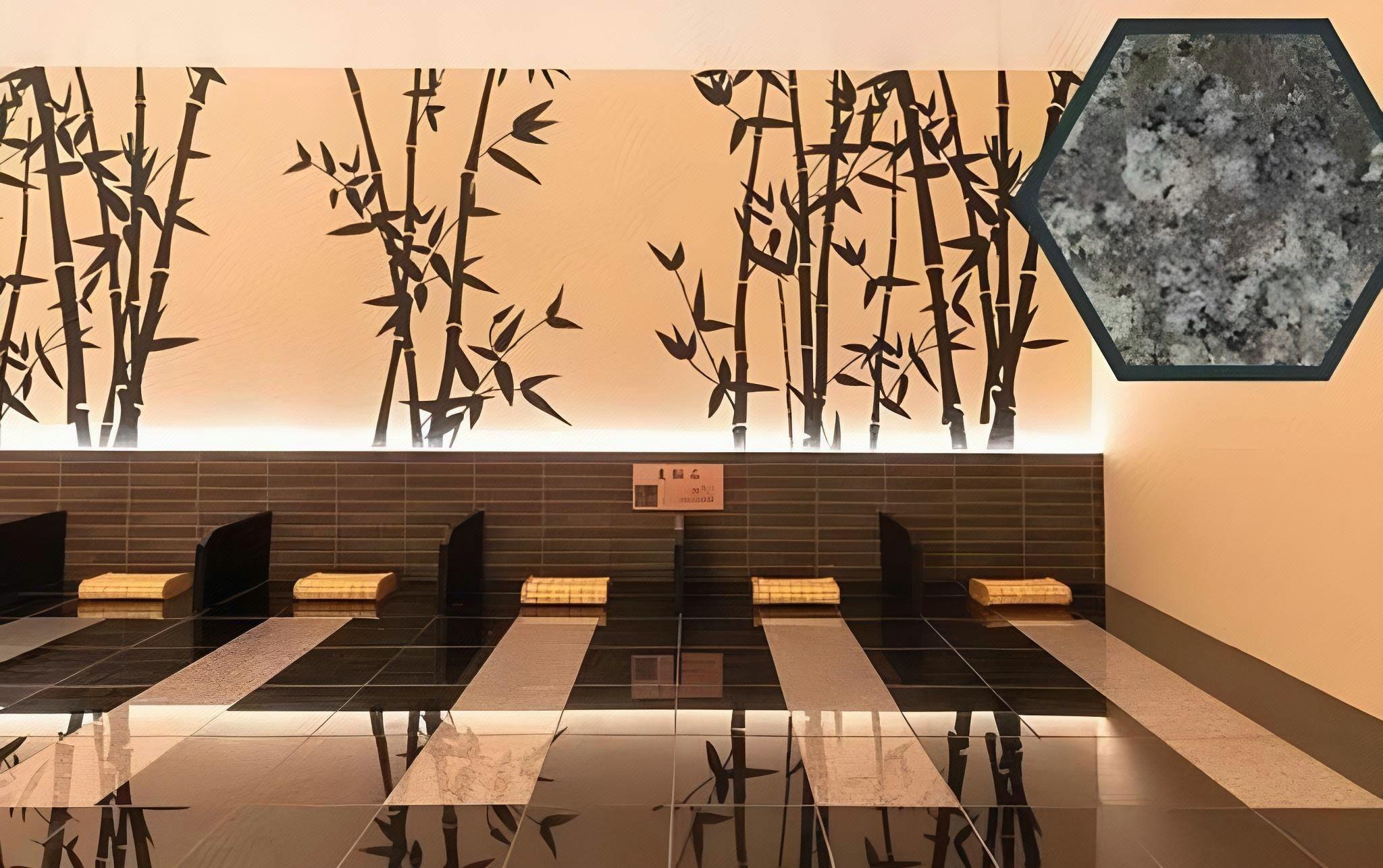 Aso Kumamoto Airport Hotel Eminence 33/46
