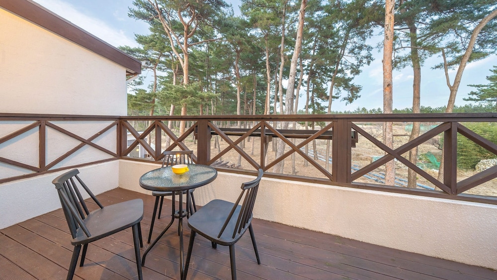 Gangneung My & Serra Pension 39/50