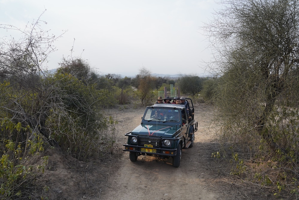 Sariska Safari Lodge 23/30