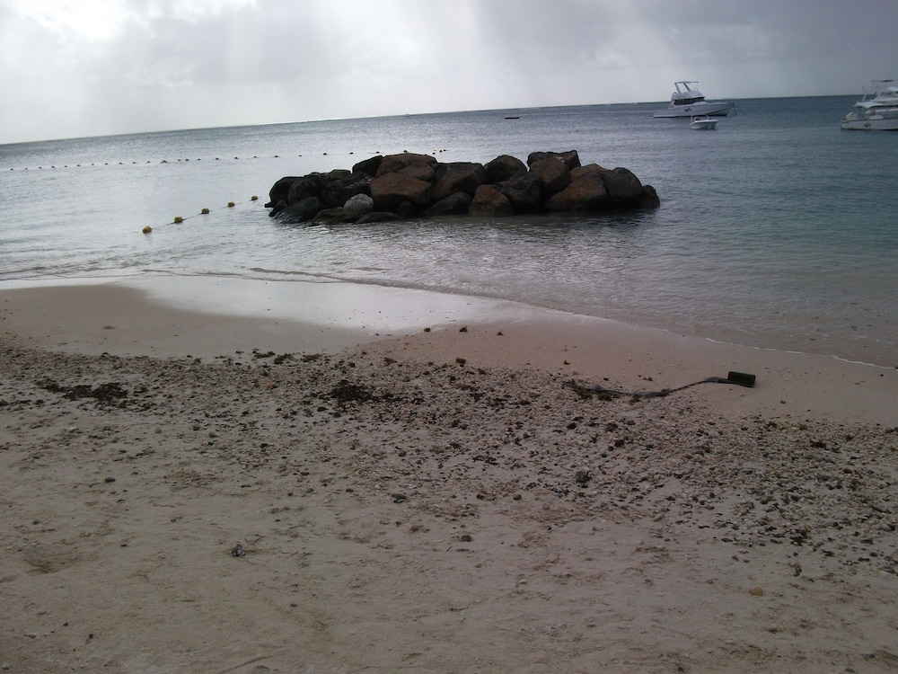 LE GRAND BLEU HOTEL photo2