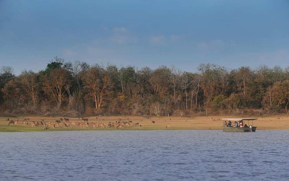 Evolve Back, Kabini 31/51