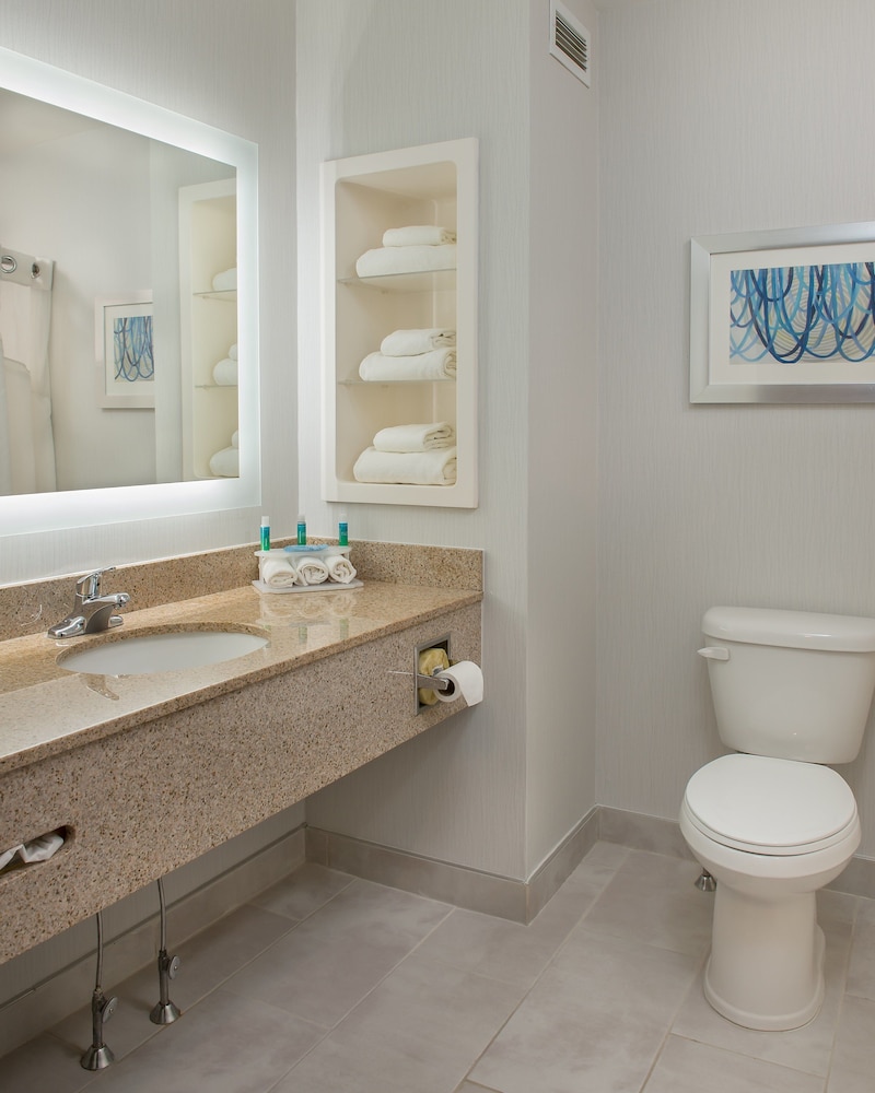 Holiday Inn Express Hotel And Suites Clifton Park 22/55