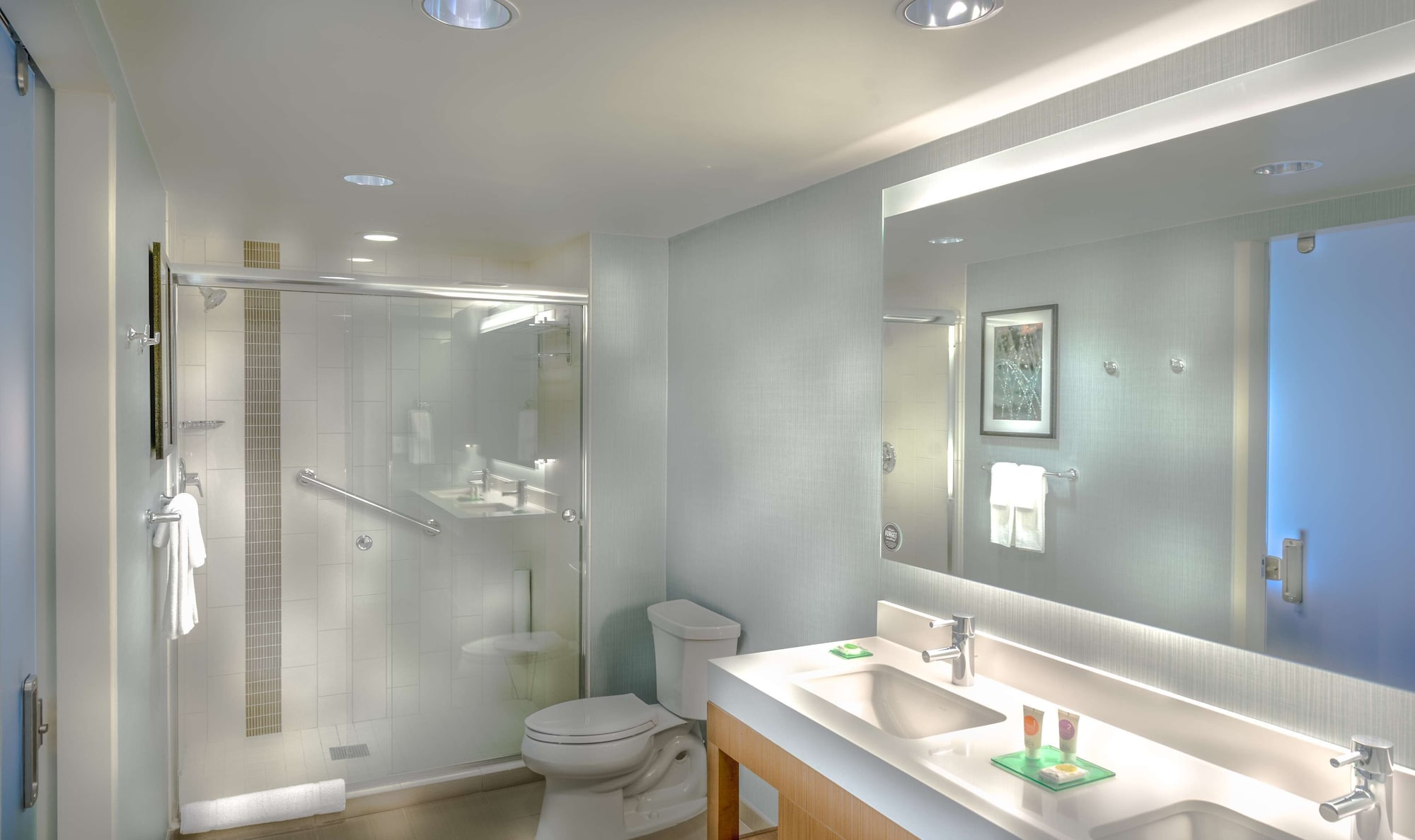 غرفة بسرير كينج مع أريكة لذوي الإعاقة، HYATT PLACE WASHINGTON DC/NATIONAL MALL 3/4