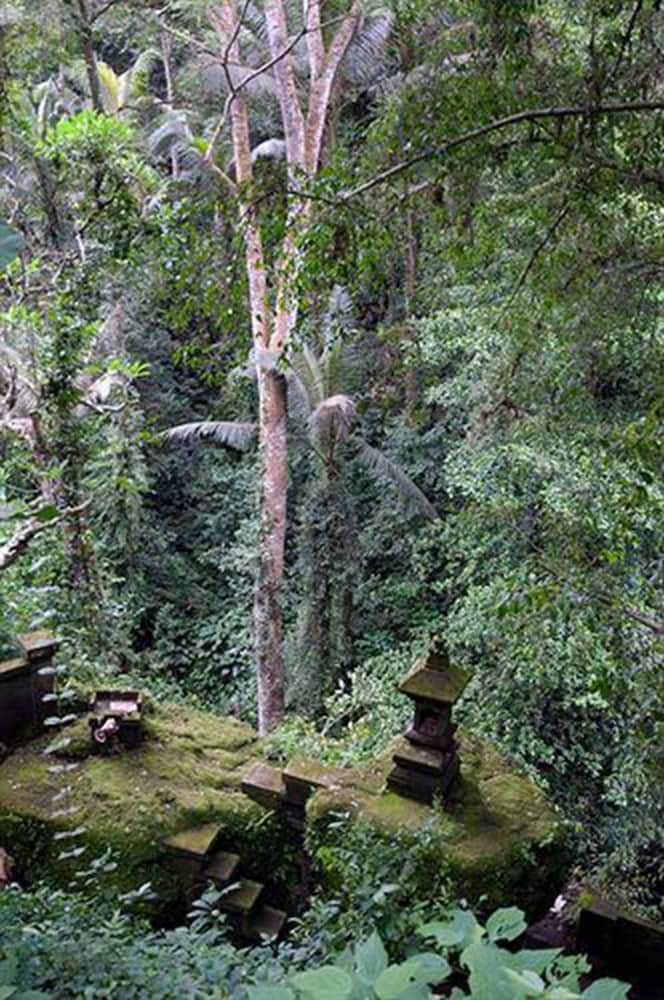 Ubud Dedari Villas 52/62