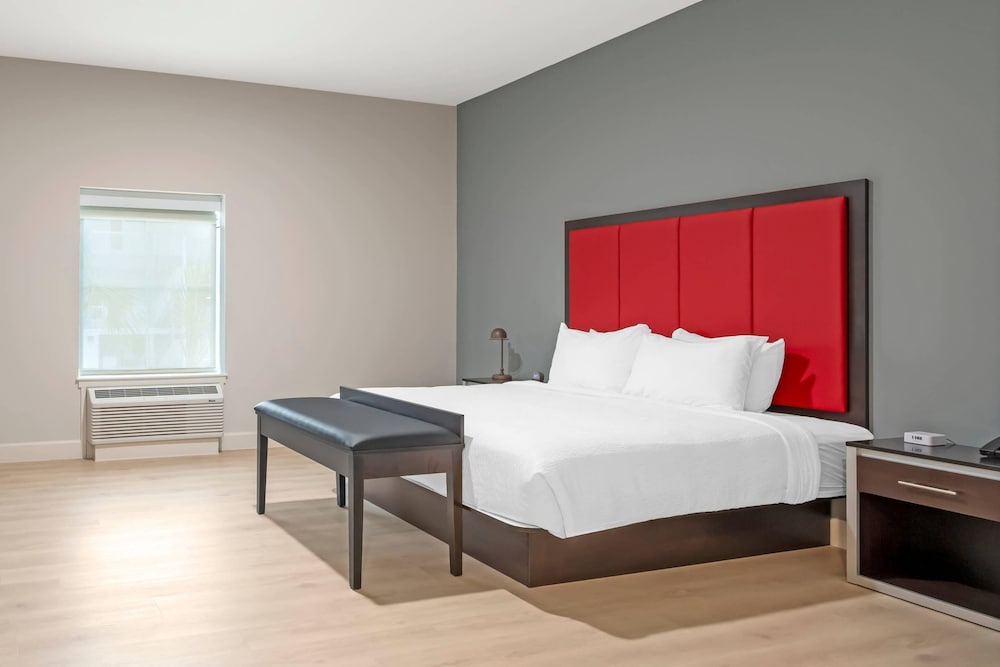 The J Hotel Dunedin Clearwater, an Ascend Collection Hotel 22/50