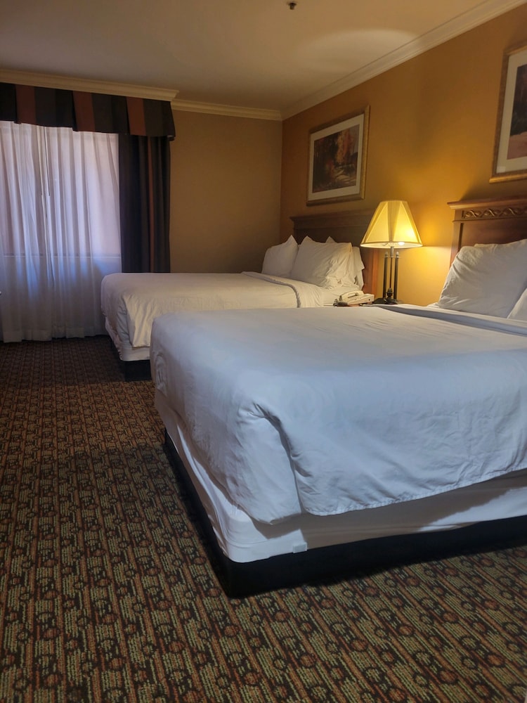 Hotel XOLA, Trademark Collection by Wyndham 21/50