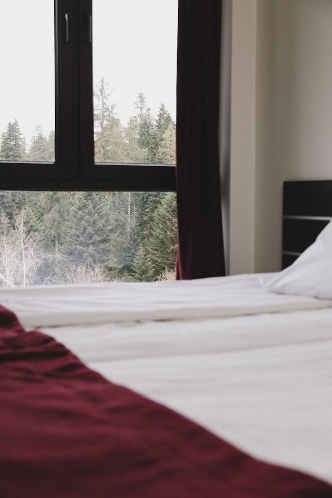 Borovets Green Hotel 14/47