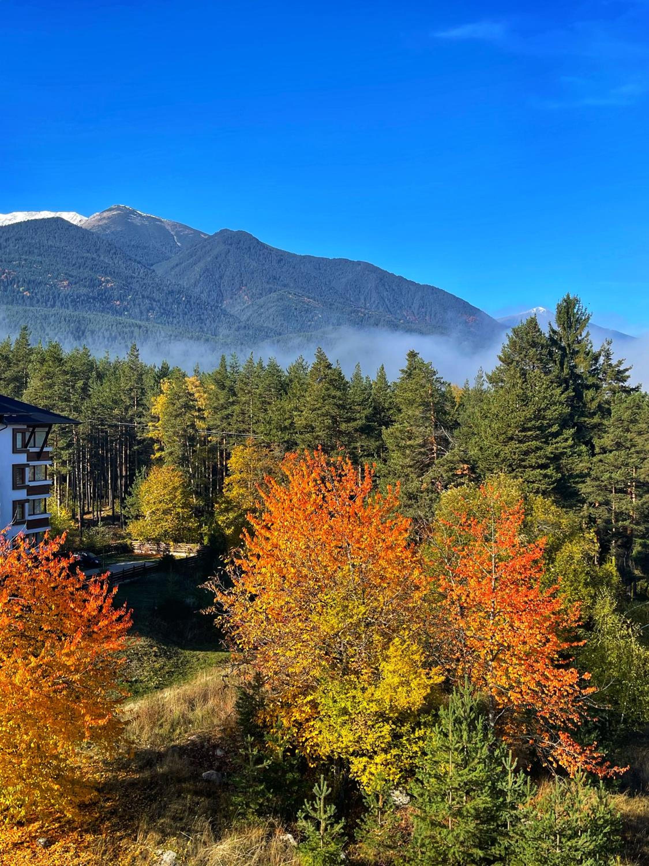 Park Hotel Panorama 32/39