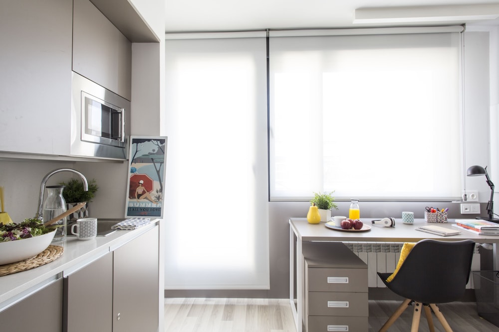Student Residence Claudio Coello 44/44