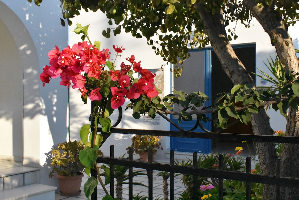 Dedalos Studios Naxos 45/50