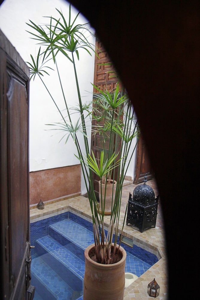 Riad Elixir 5/50