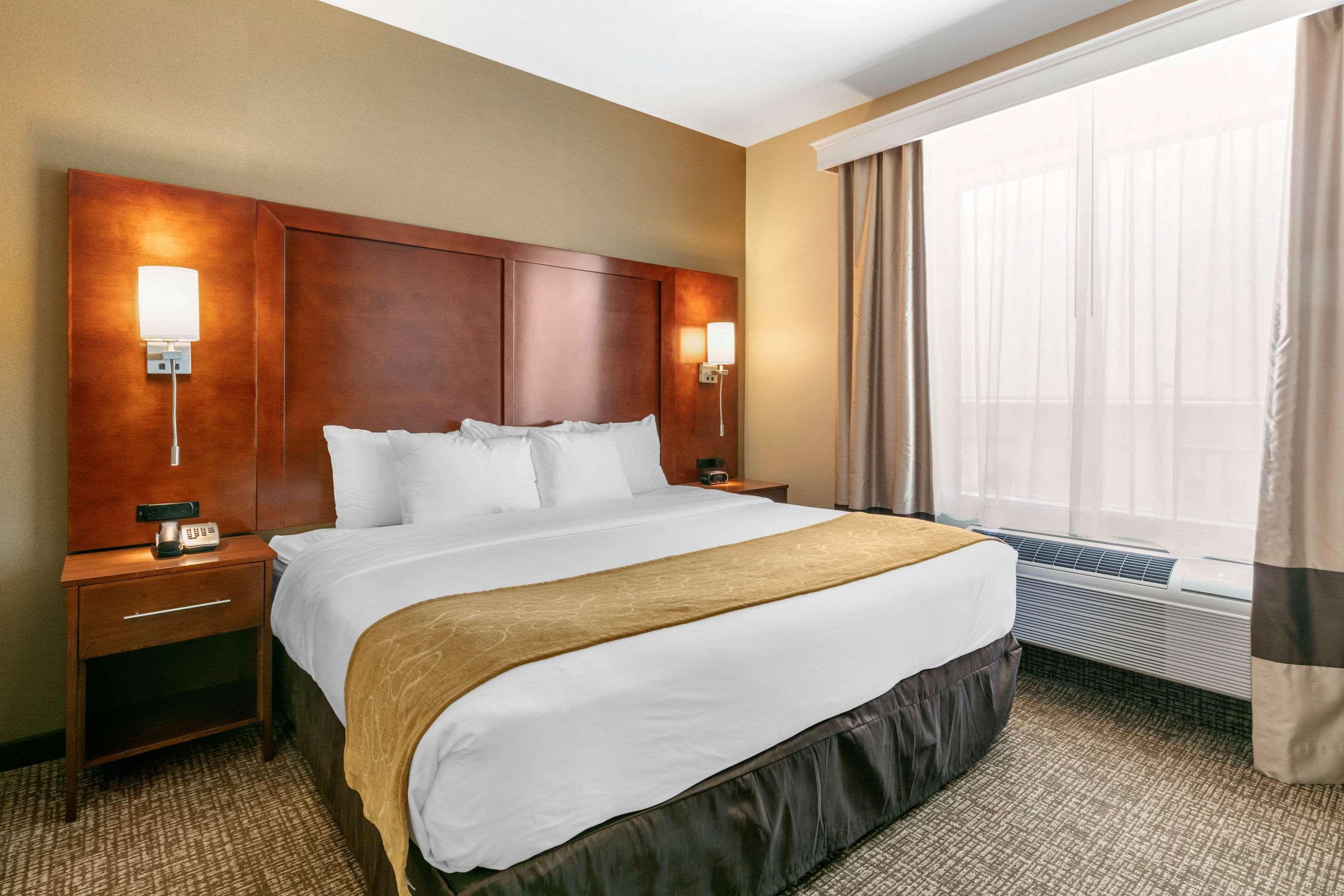Upgrade, Suite, King Bed