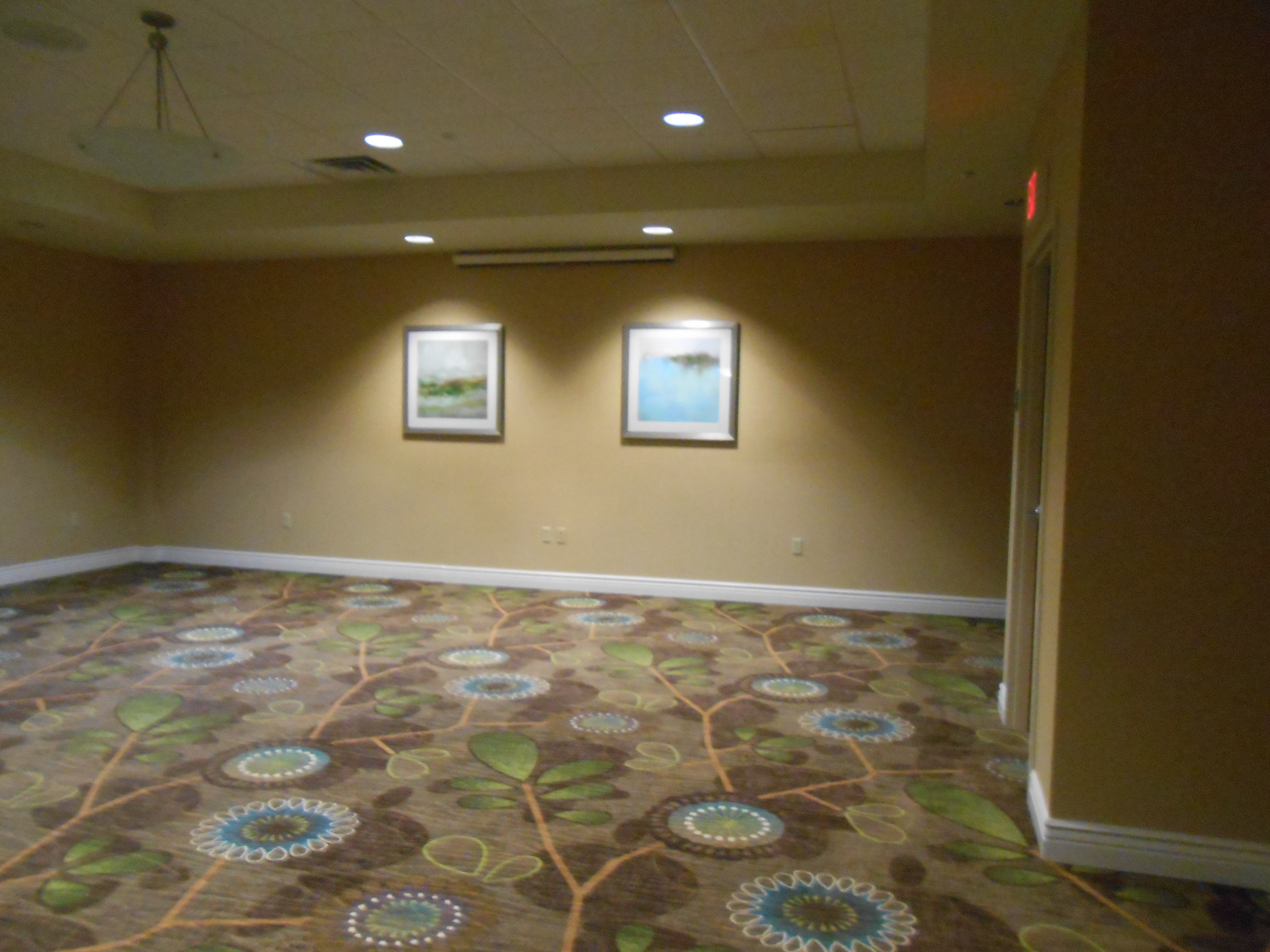 Holiday Inn Carbondale-Conference Center 30/81