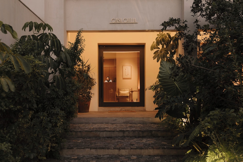 Casa Ofelia 3/50