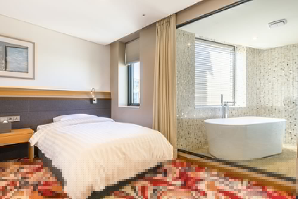 Shin Shin Hotel Jeju Airport (ex Hotel Kenny Story Premium Jeju Yeondong) 25/61