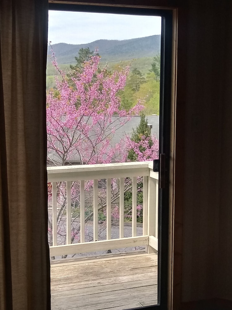 Creekside Village 19/23